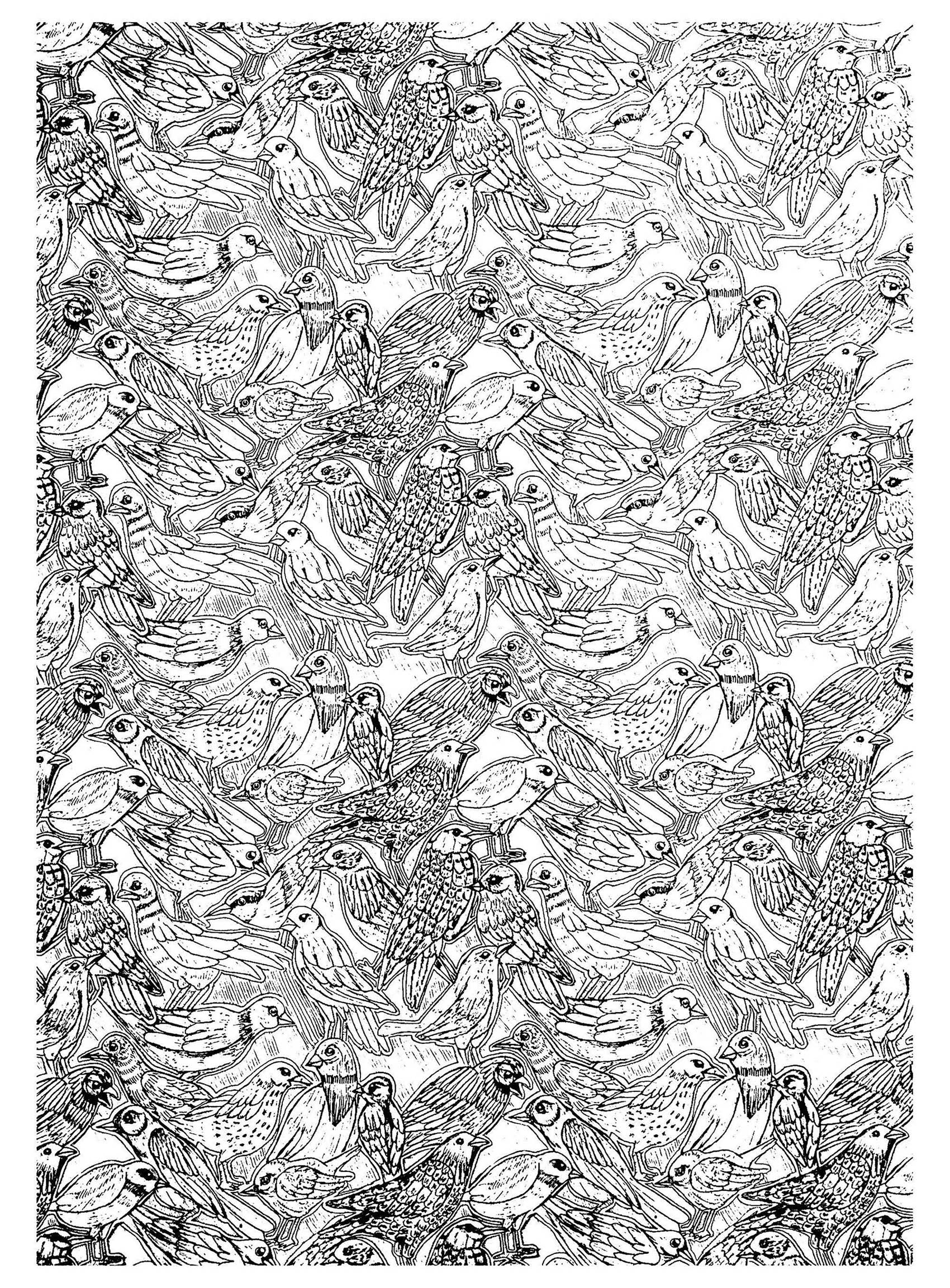 Very complex coloring page with birds