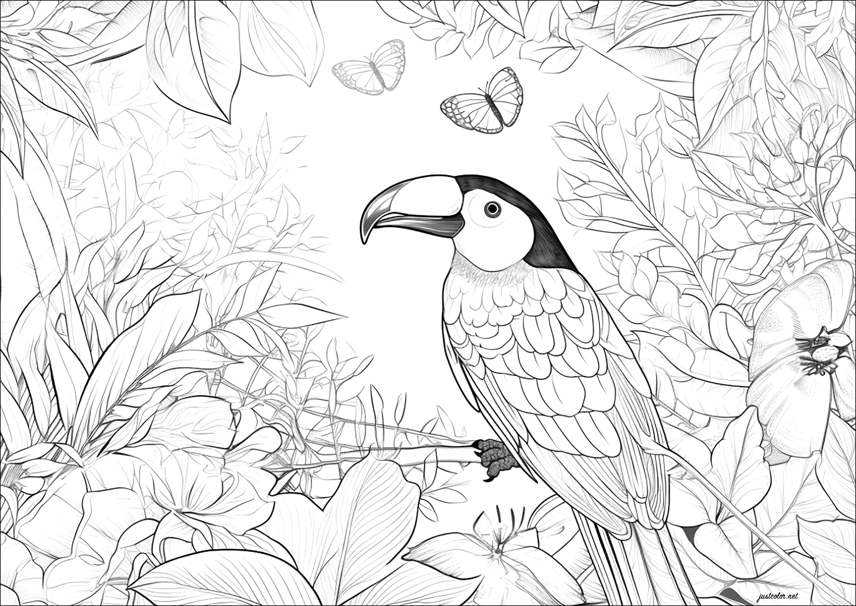 Tropical bird and pretty vegetation. Colour the pretty butterflies too
