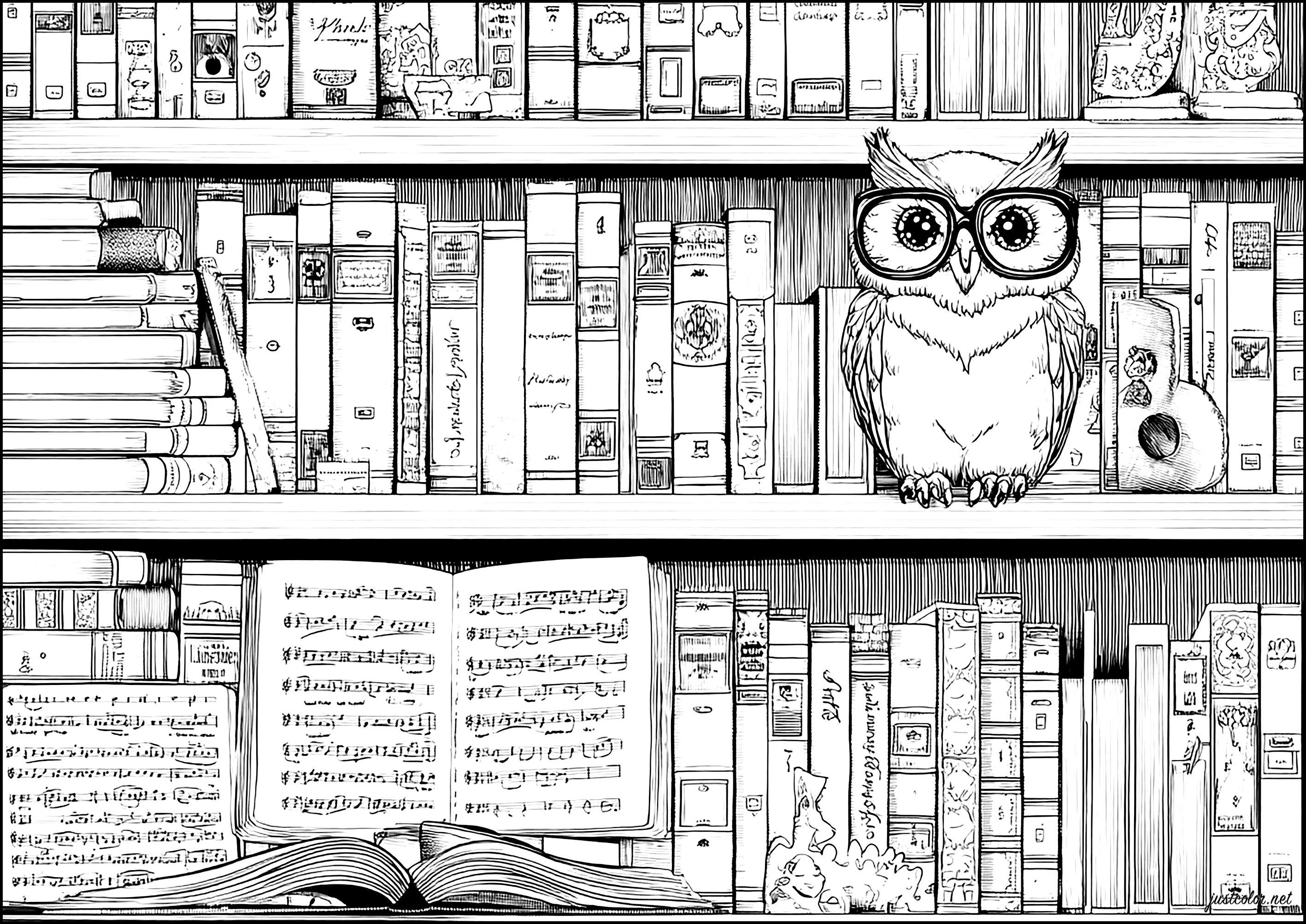 Wise owl surrounded by books (Printable Bird Coloring Page for adults)
