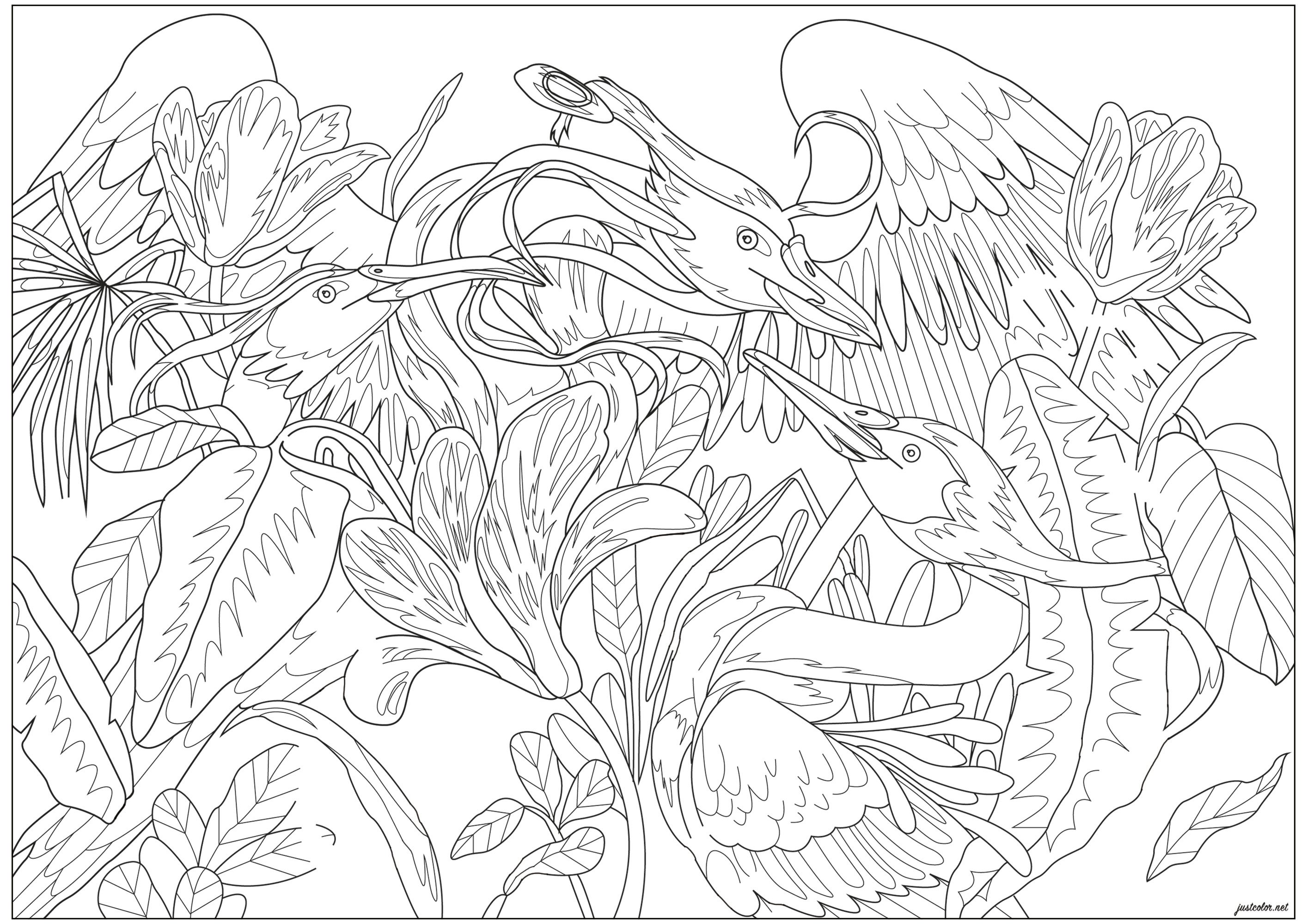 Exotic birds in the wild (Printable Coloring Page for adults)