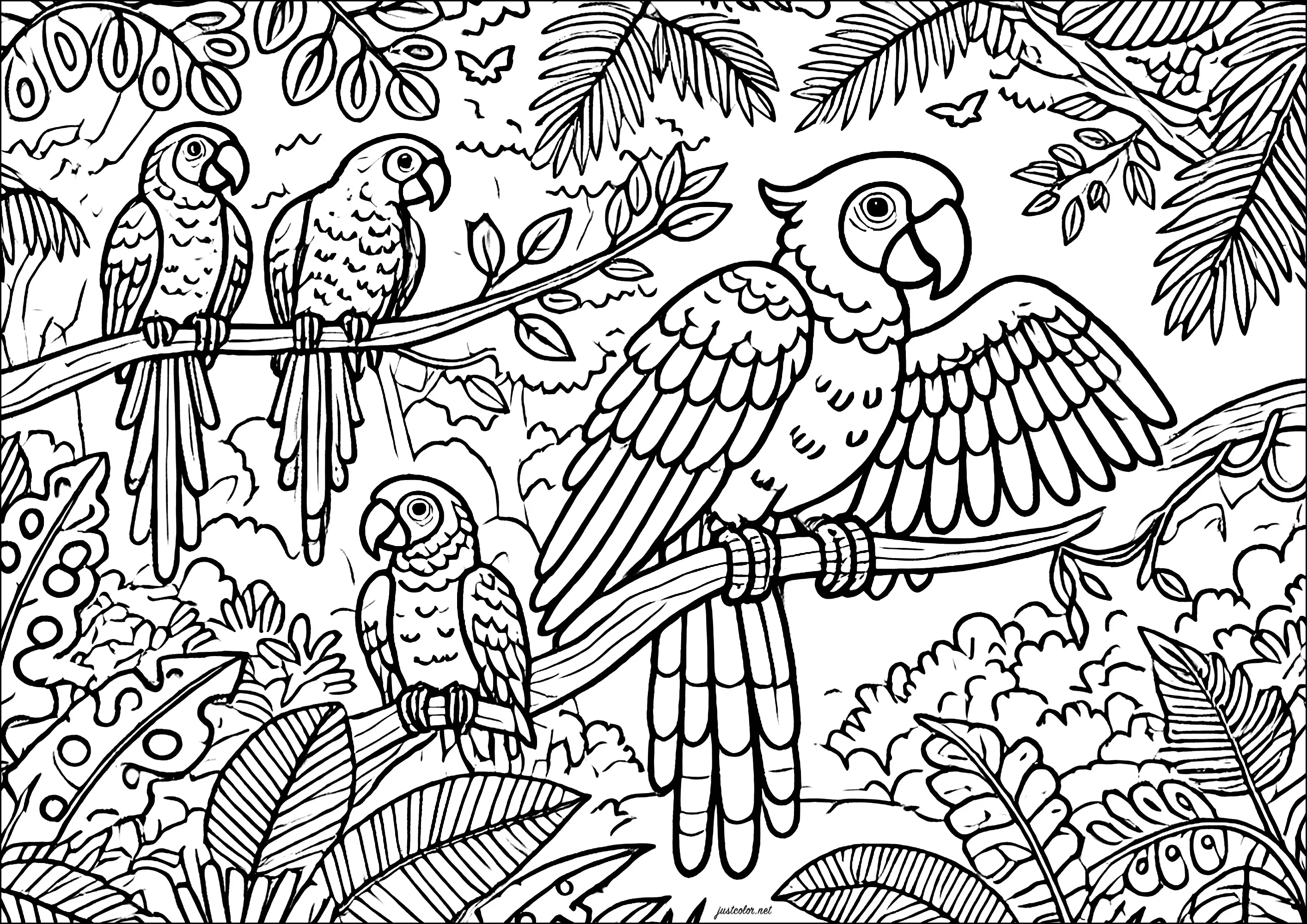 Parrots perched in the tropical jungle (Printable Bird Coloring Page for adults)