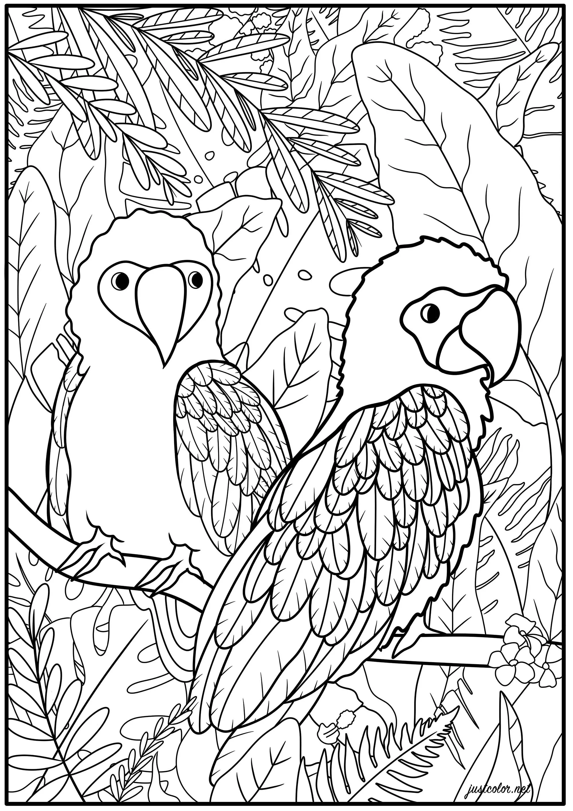 Two parrots and exotic plants (Printable Bird Coloring Page for adults)