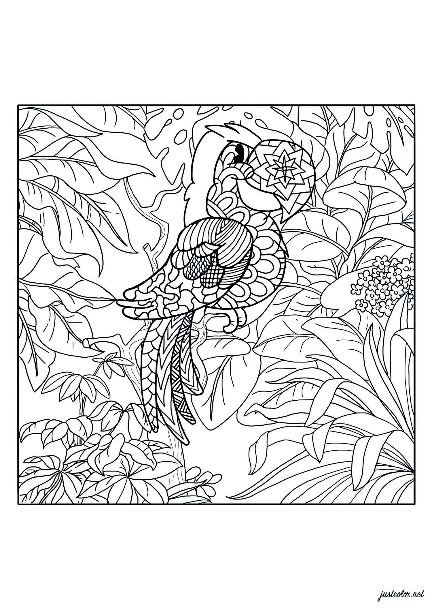 Add some colors to this beautiful parrot, hidden in the jungle