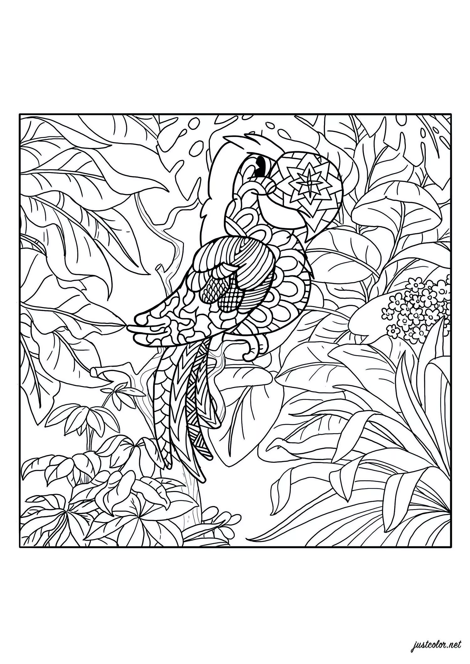 Parrot in the jungle (Printable Bird Coloring Page for adults)