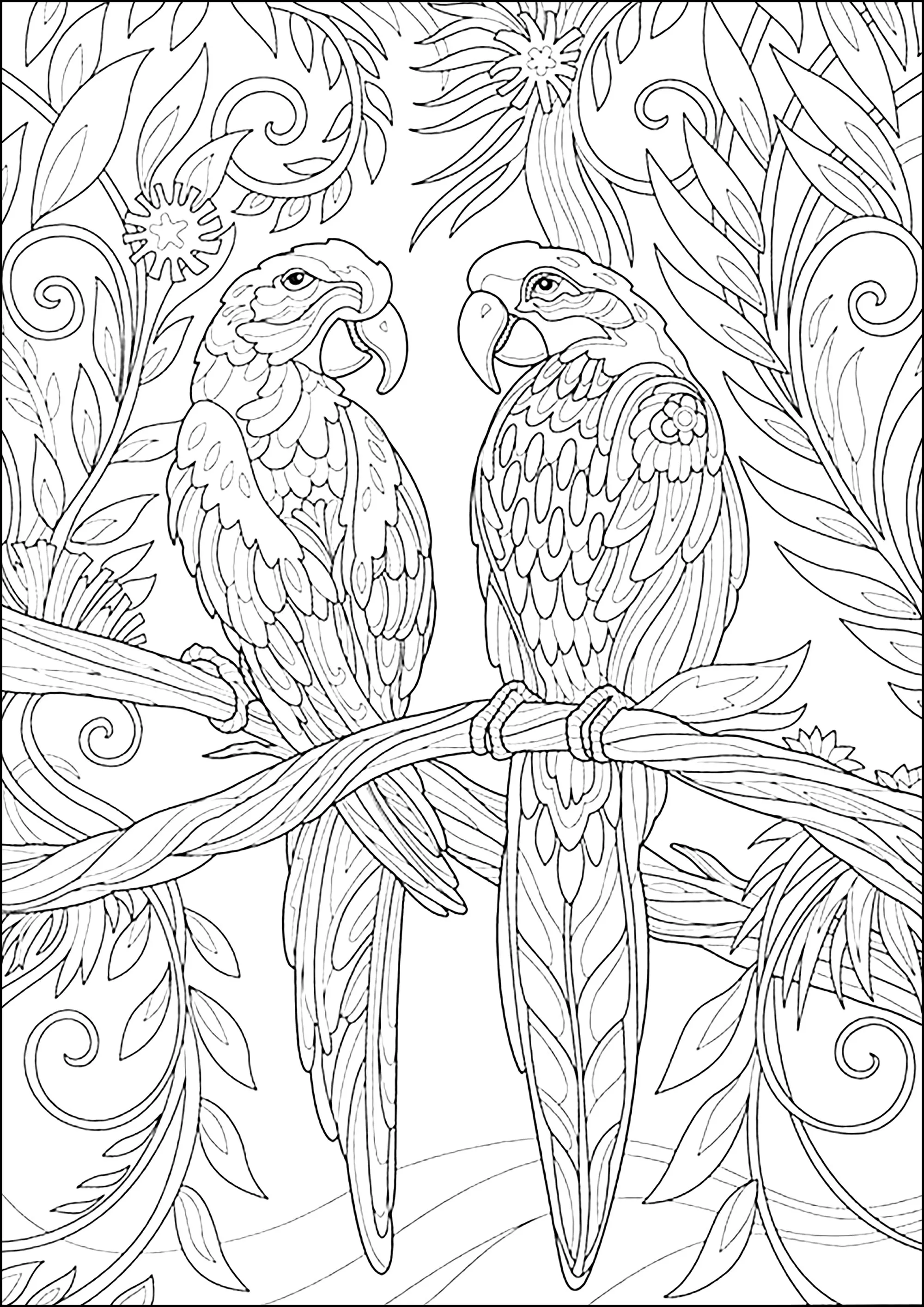 Two parrots: fine line drawing (Printable Bird Coloring Page for adults)