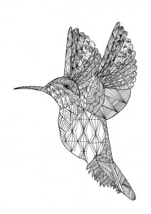 Hummingbird with coloring patterns