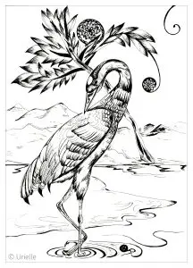 Heron