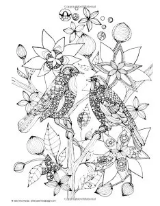 Two birds