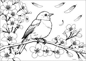 Bird on a branch, feathers flying (Coloring Page)