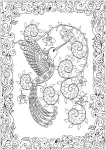 Humming bird