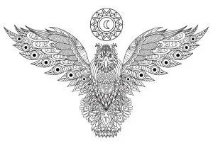 Incredible eagle