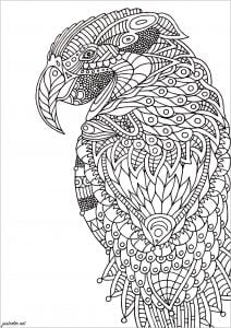 Zentangle Parrot (Bird Coloring Page)