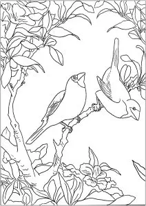 Two little birds