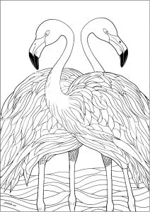 Two symmetrical flamingos