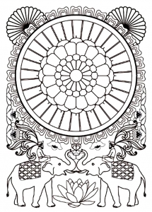 Coloring adult india elephants