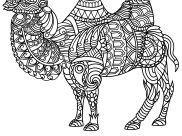 Camels and Dromedaries Coloring Pages