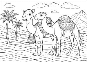 Desert Caravan