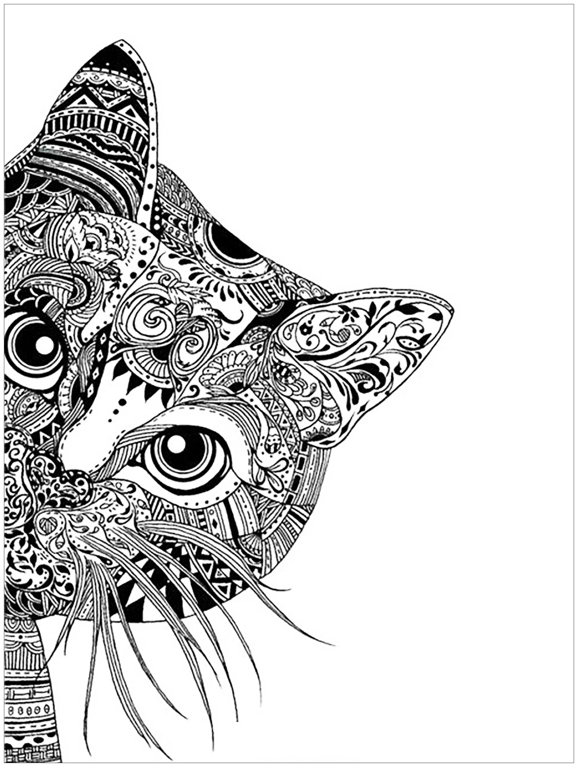Cat head (Printable Coloring Page for adults)
