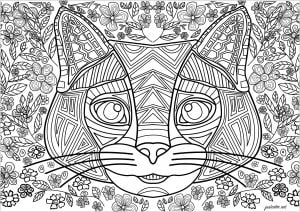 Cat head formed by regular lines, with flowered background