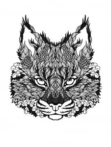 Cat's head to color