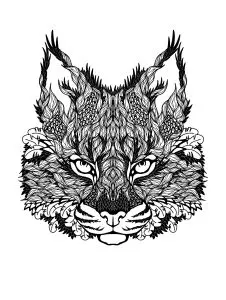 Cat's head to color