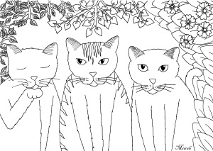 Tree little funny cats by miwah