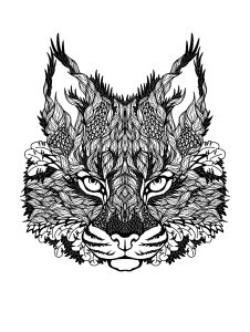 Cat's head to color