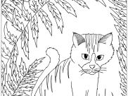 Cats Coloring Pages for Adults