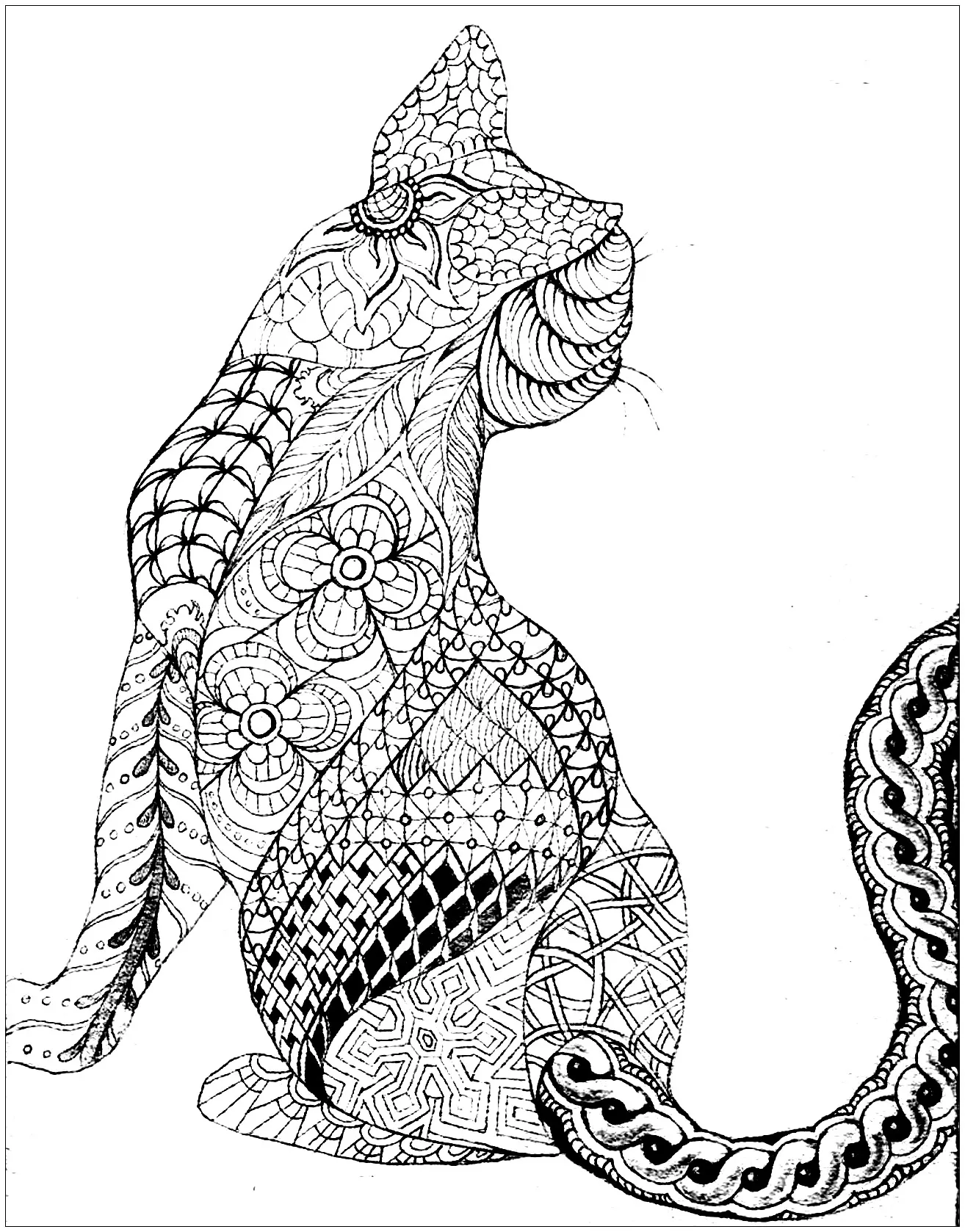 Cat from back (Printable Coloring Page for adults)