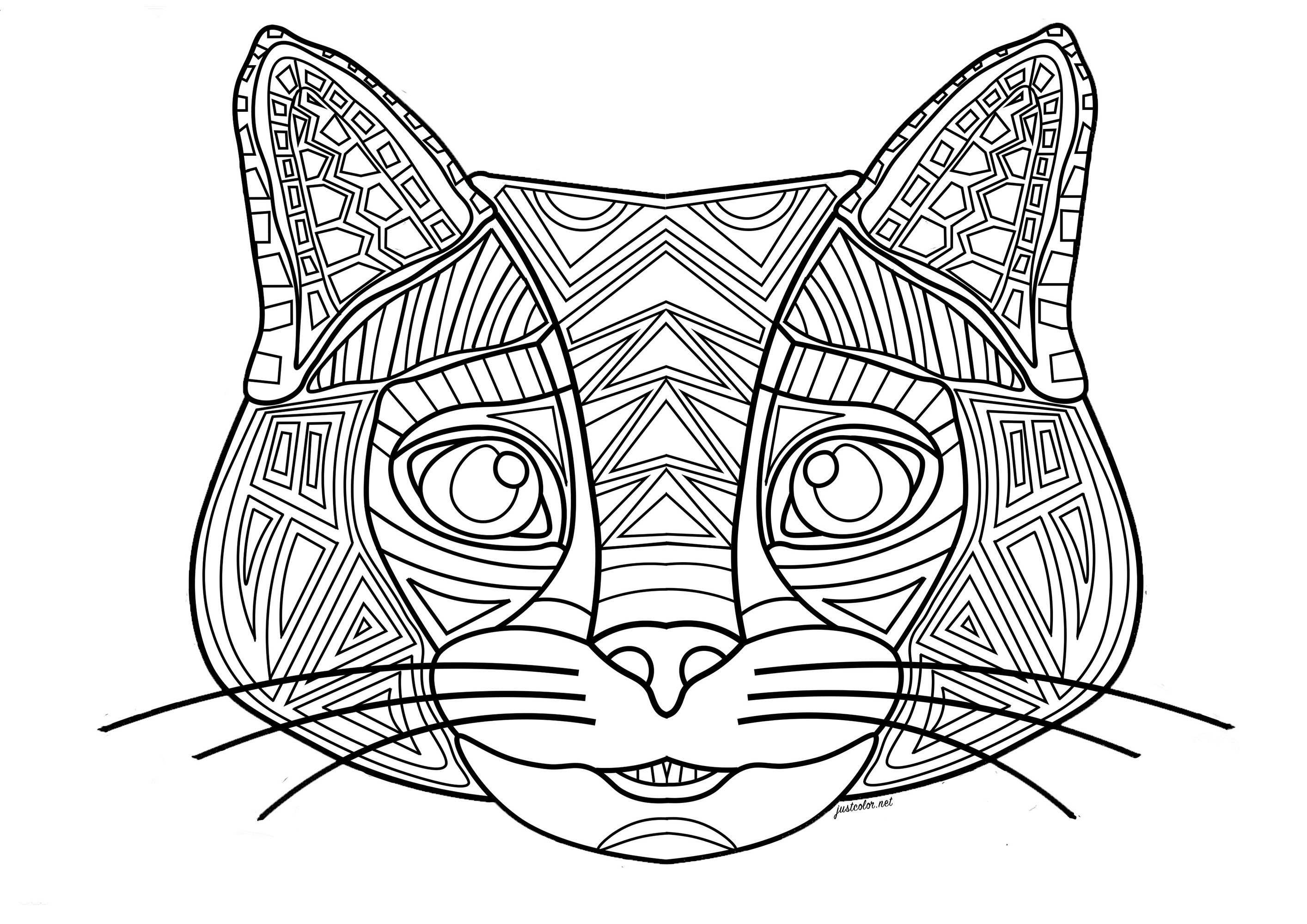 Cat head with floral background.  The head is formed from regular lines and geometric shapes.