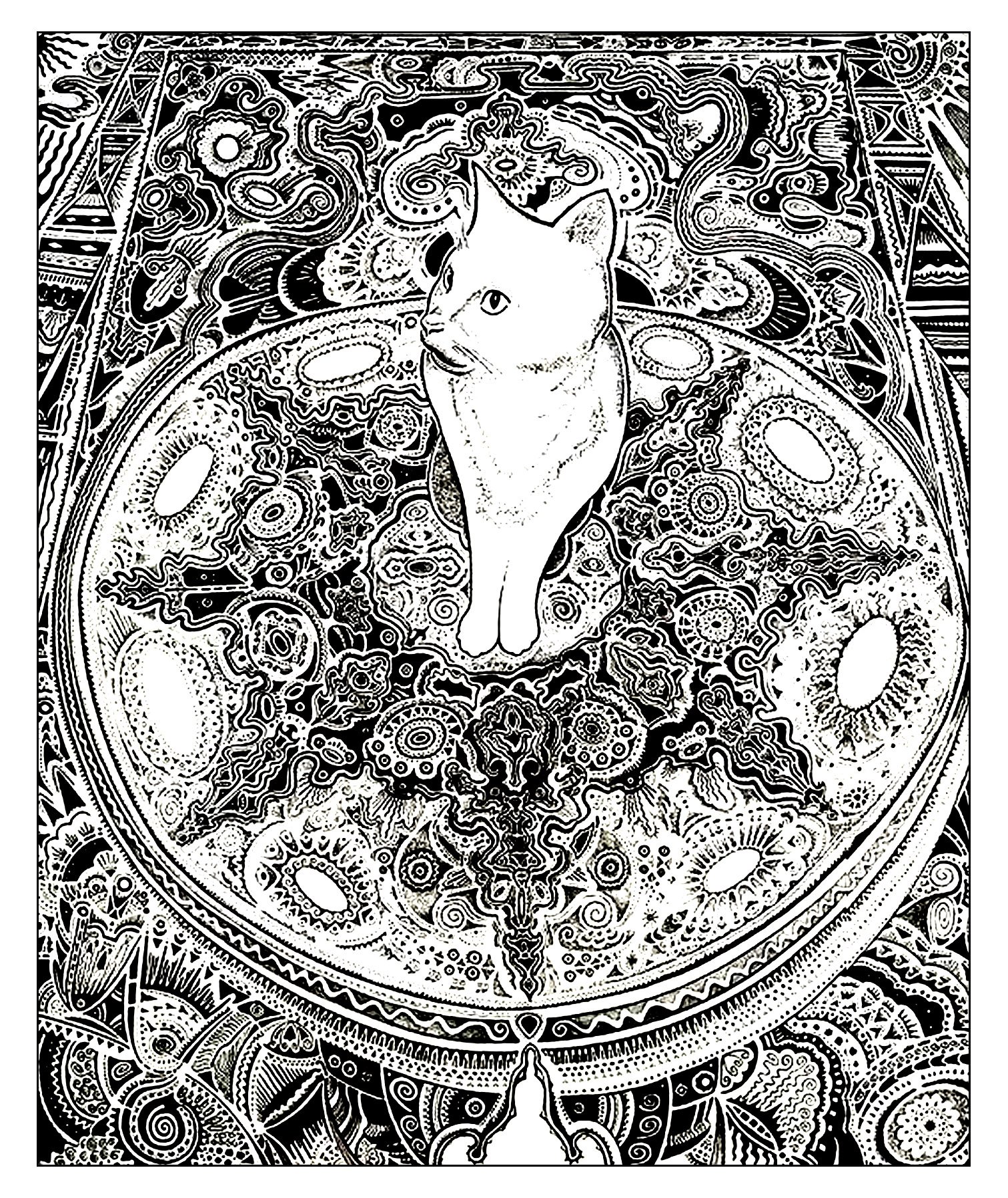 A cat on a carpet full of details