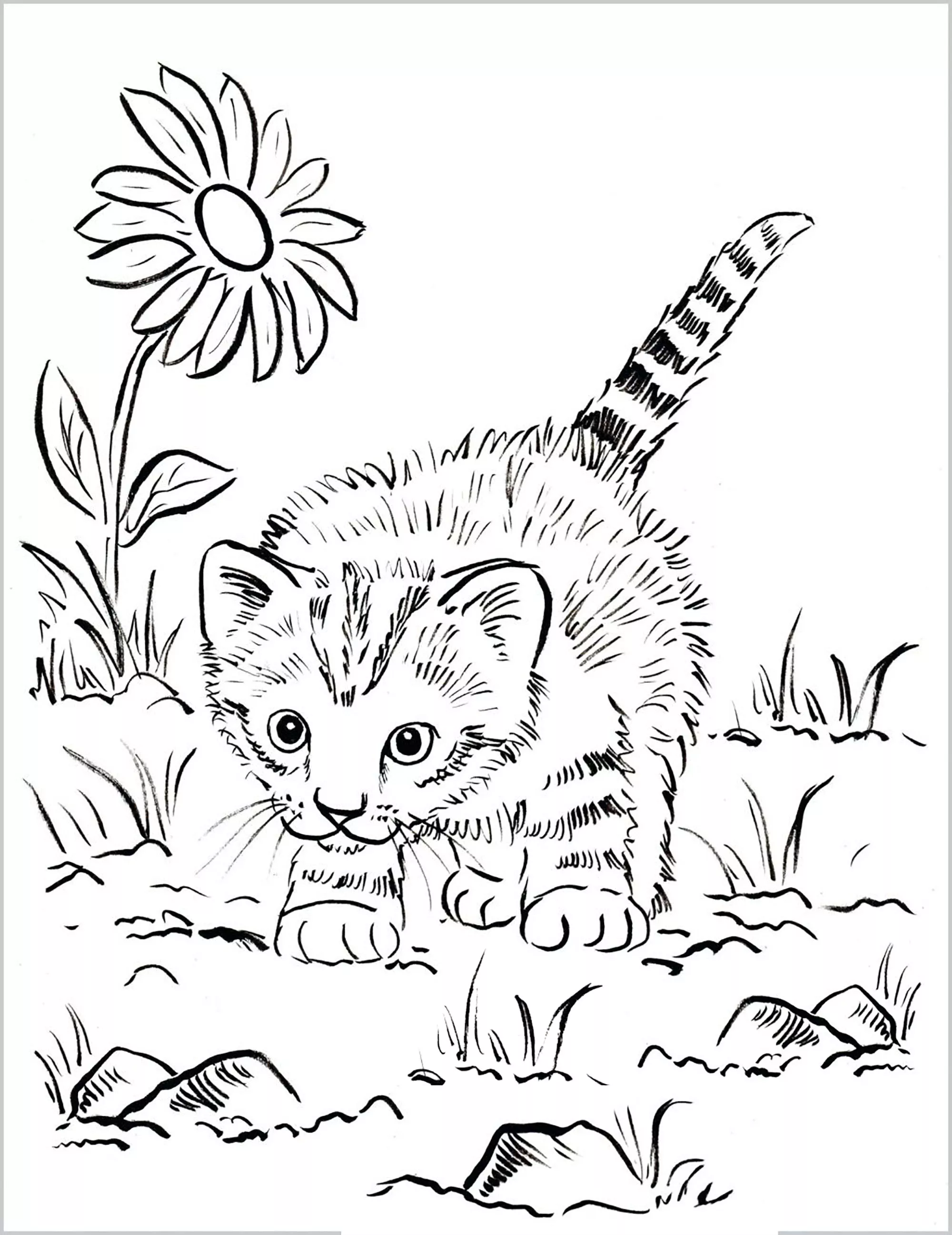 Little cat playing outside (Printable Coloring Page for adults)