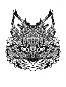Cat's head to color