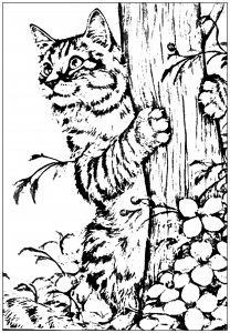 coloring-page-kitten-playing-in-the-garden