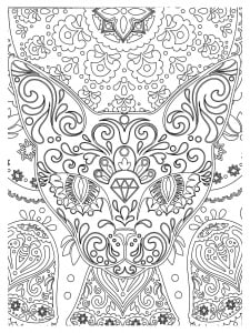 Coloring of an nearly abstract cat head