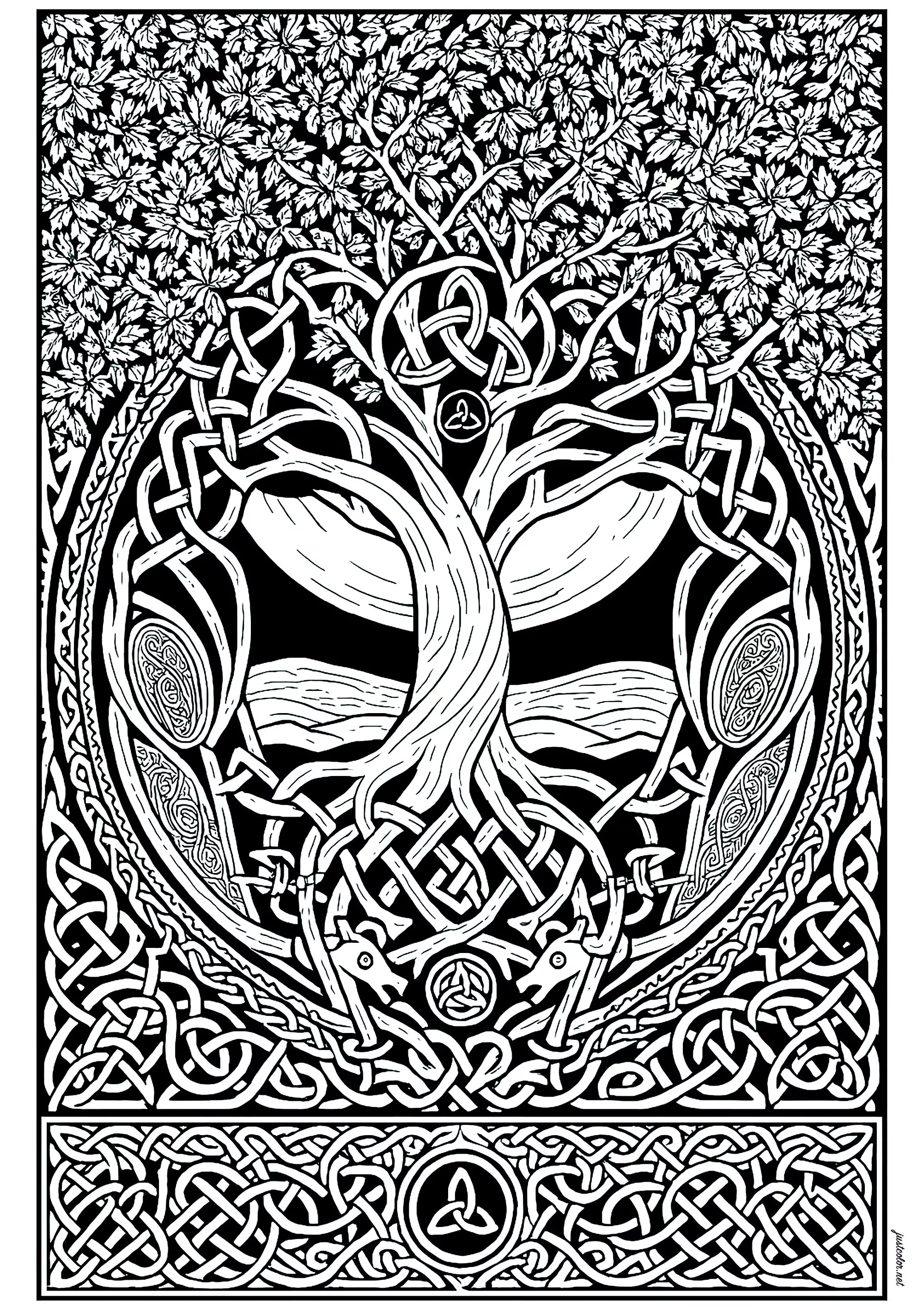 Complex coloring of the water of life (Celtic Art)