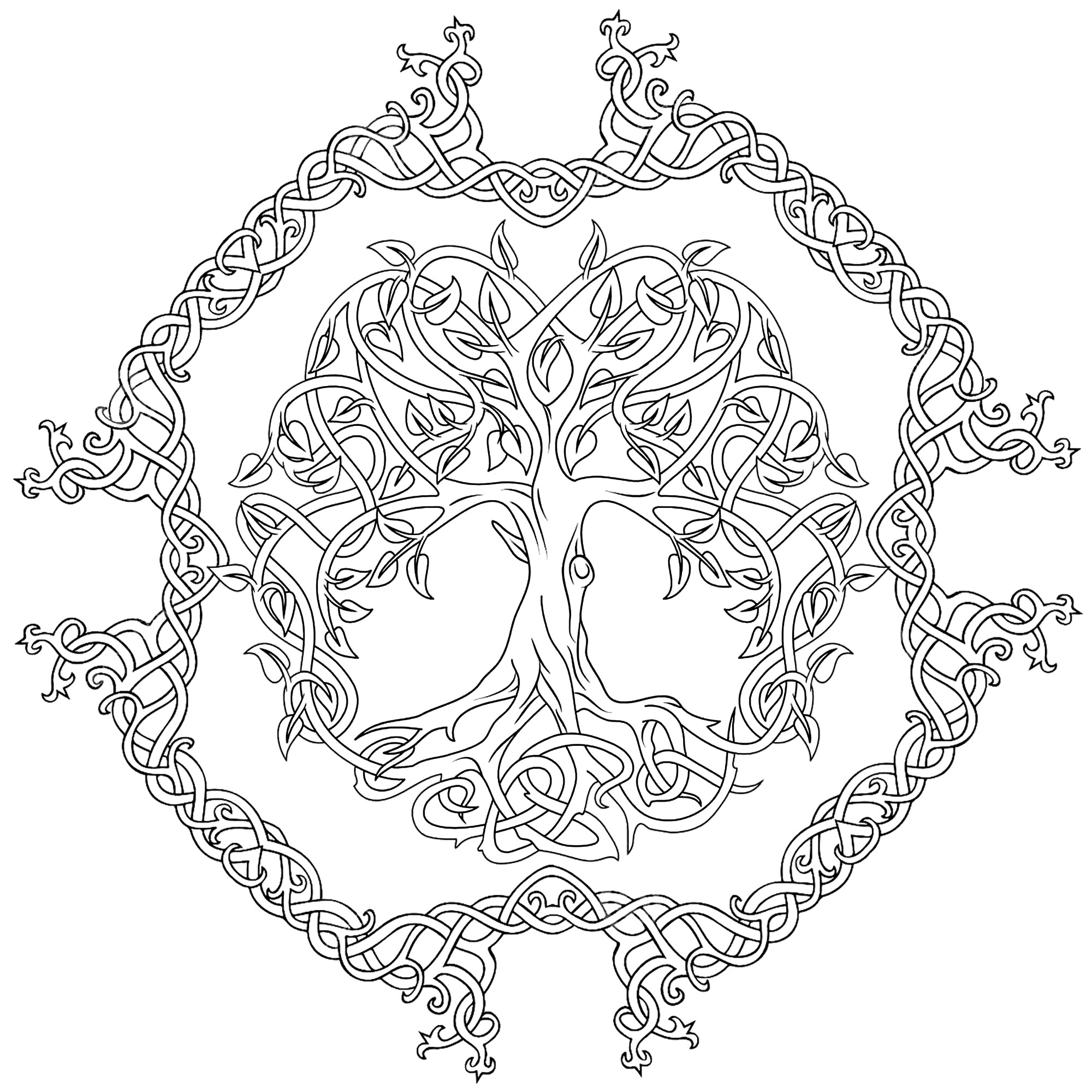 Celtic Tree of Life, with circle around it composed of curved shapes. The Celtic tree of life represents the concept of the forces of nature converging to create harmony.