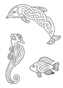 Marine Animals