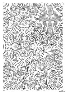 Majestic momentum and Celtic cross