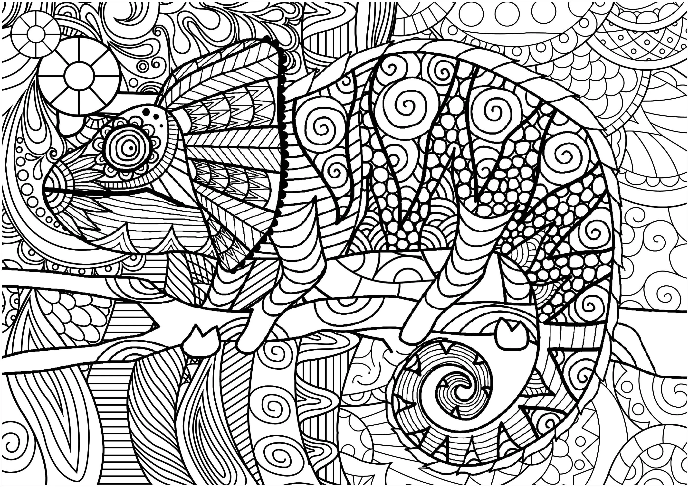 Chameleon on a branch with patterns (Printable Chameleons and lizards Coloring Page for adults)