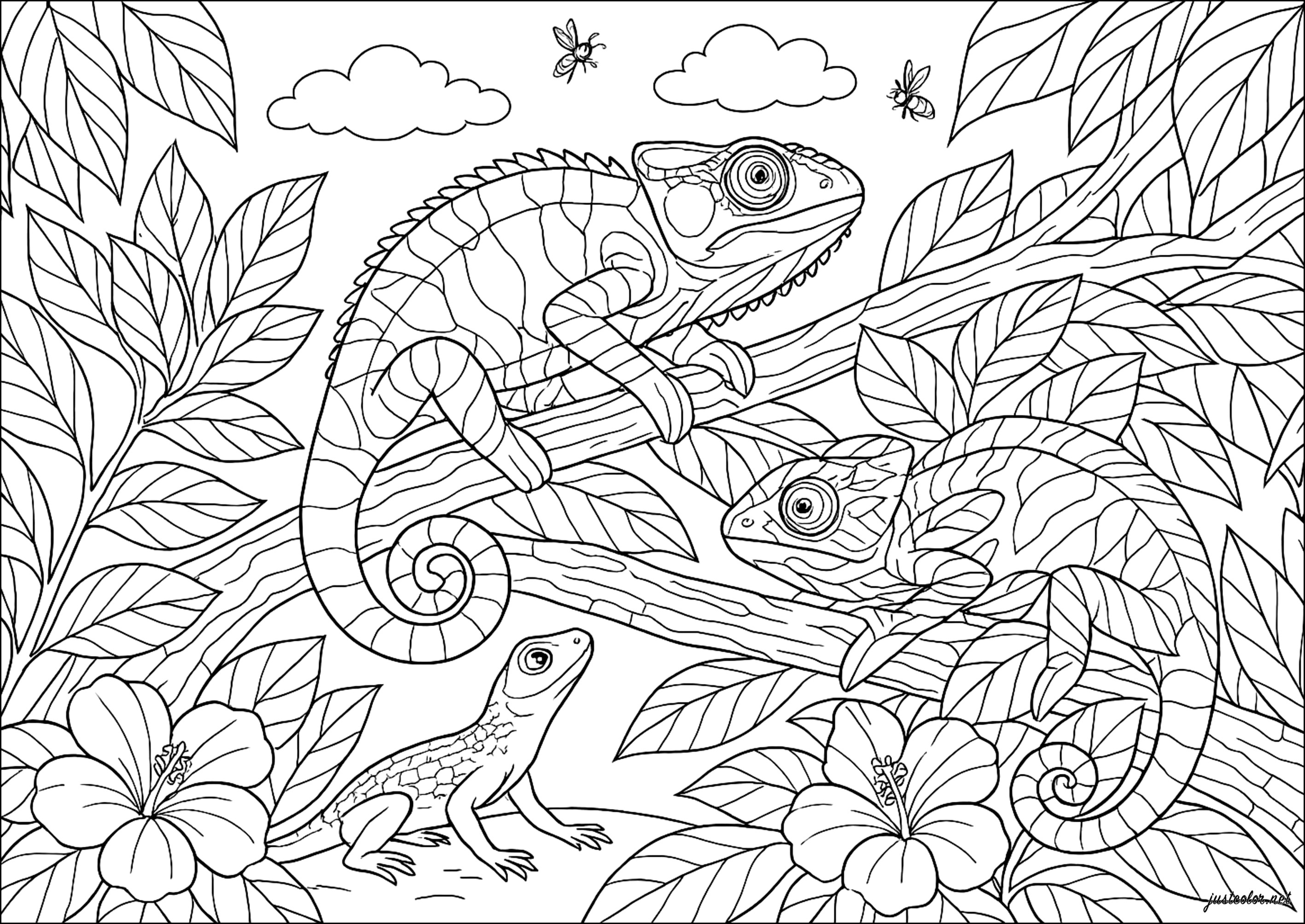 Rencontre Curieuse sous les Tropiques (Printable Chameleons and lizards Coloring Page for adults)