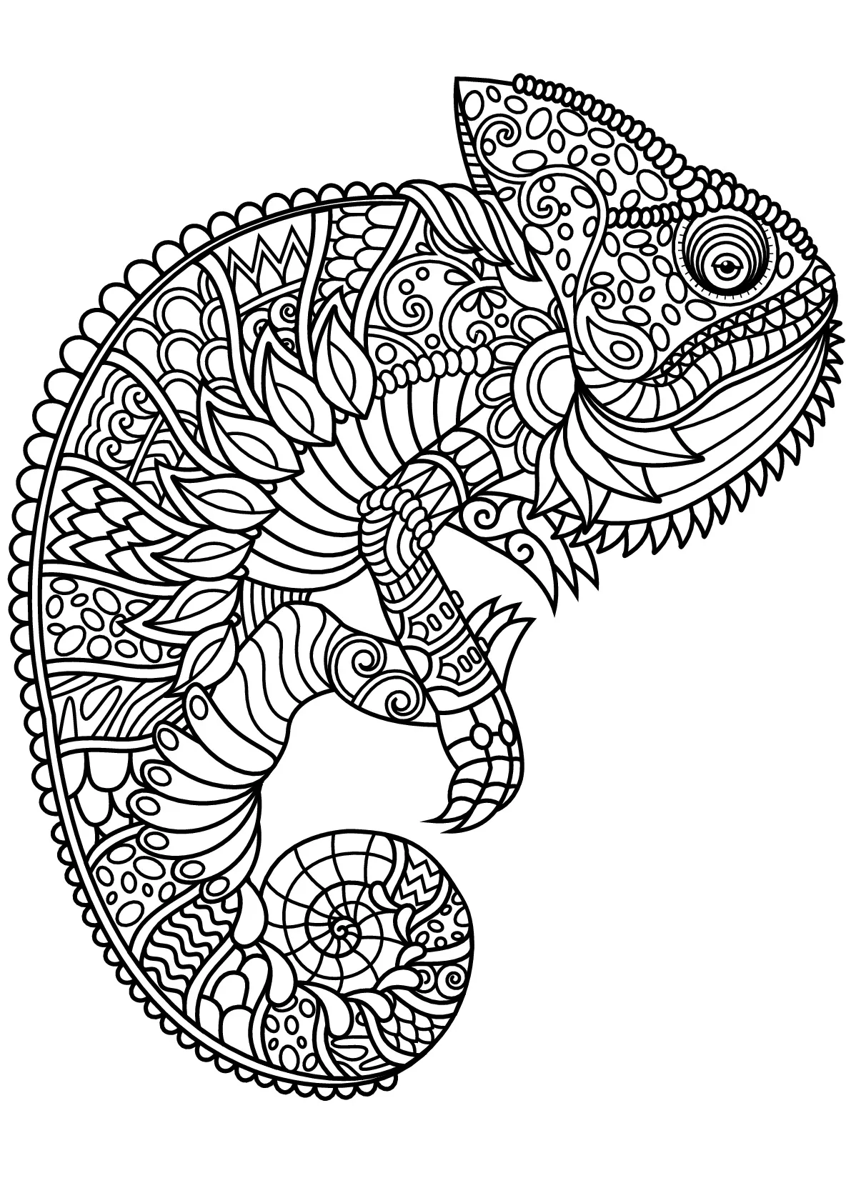 Chameleon, with complex and beautiful patterns (Printable Chameleons and lizards Coloring Page for adults)