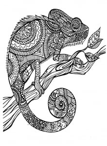 A magnificien cameleon to color, drawn with zentangle patterns (Chameleons and lizards Coloring Page)