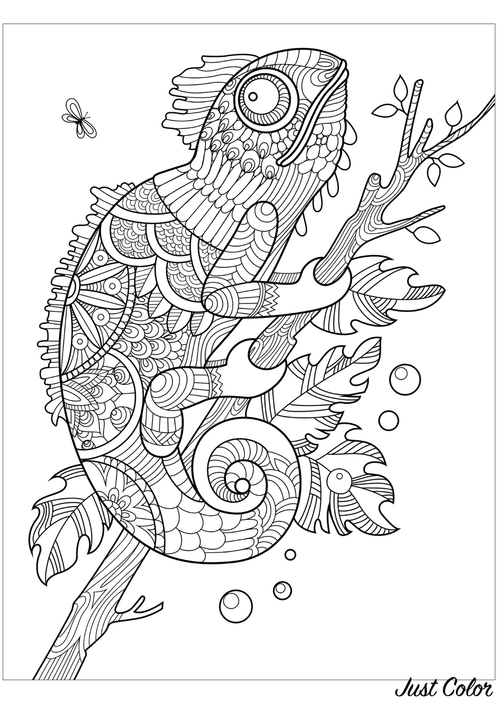 Chameleon with many simple Zentangle patterns.Don't forget to color the little fly that will quickly get eaten !