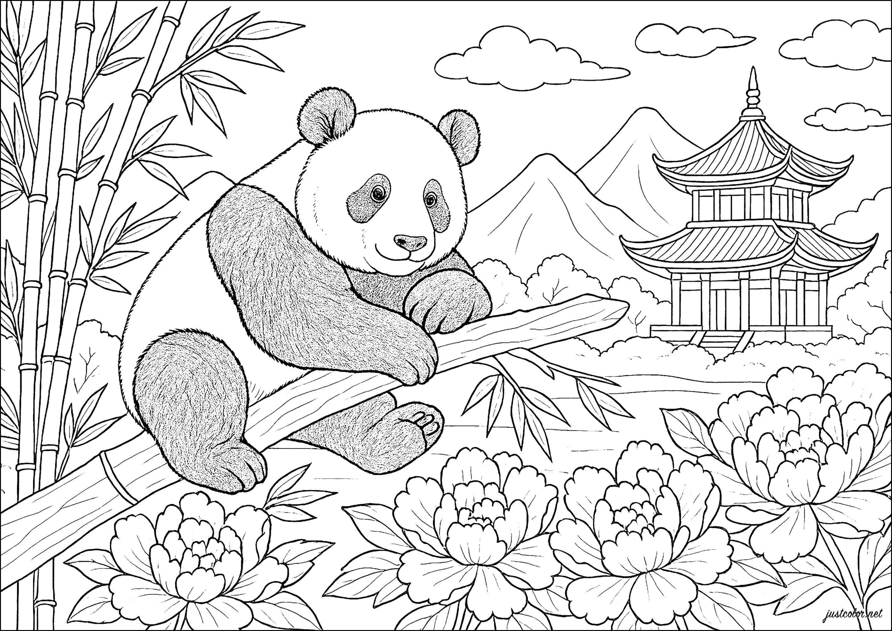 Peaceful panda at the bamboo temple (Printable China & Asia Coloring Page for adults)