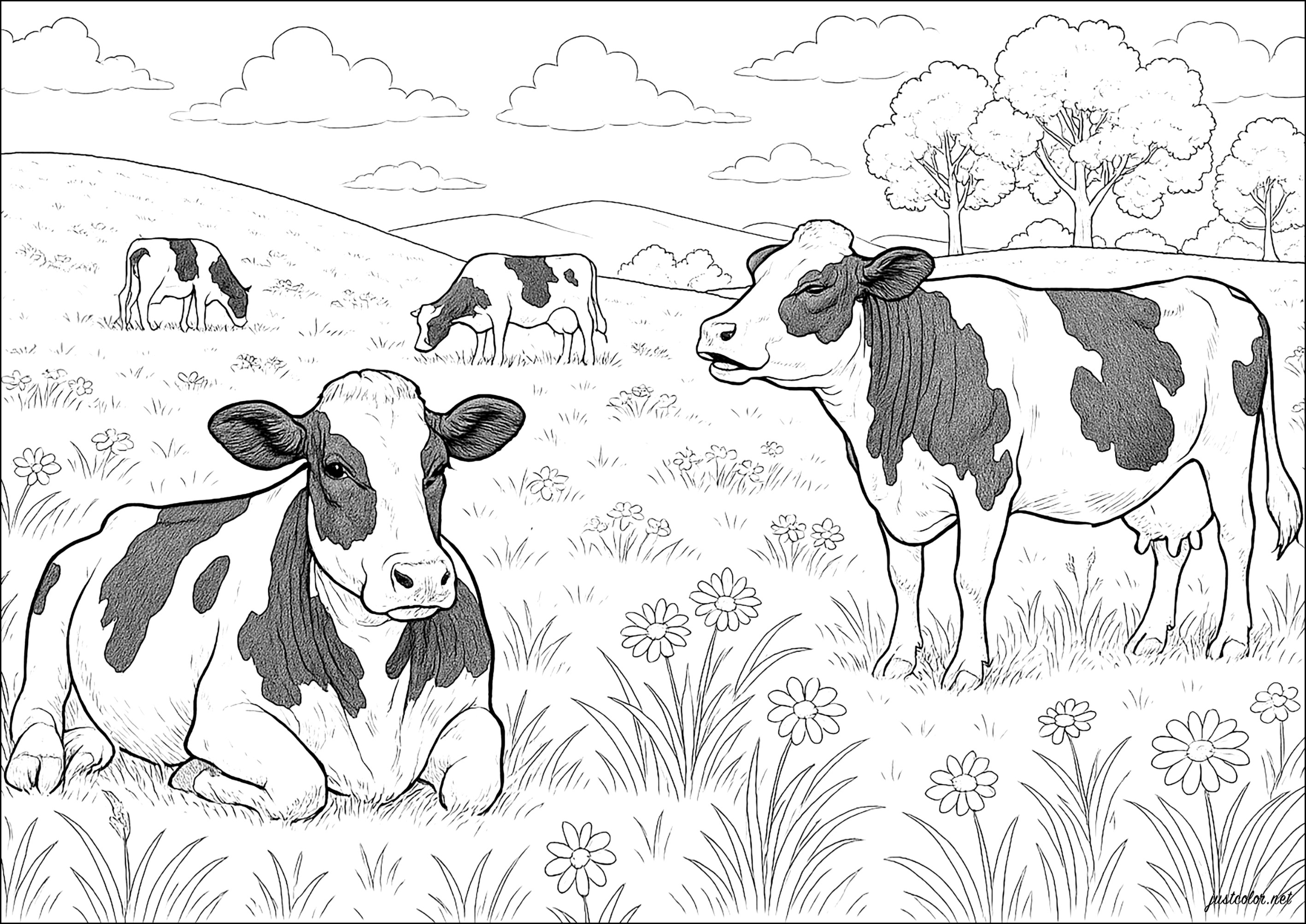 A peaceful herd in the meadows (Printable Cow Coloring Page for adults)