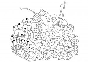 Piece of cake (Cupcake and cake Coloring Page)