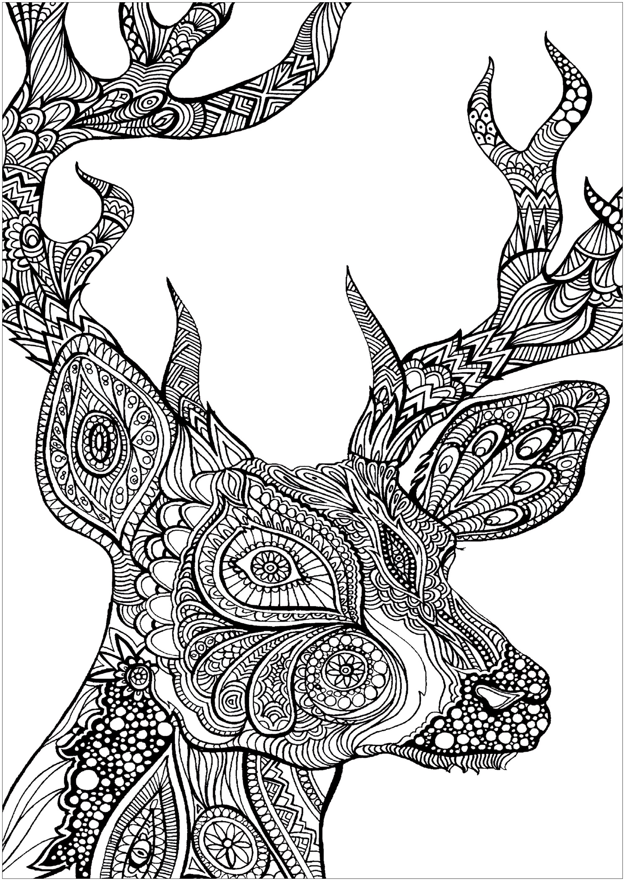 Deer head, drawn in Zentangle style