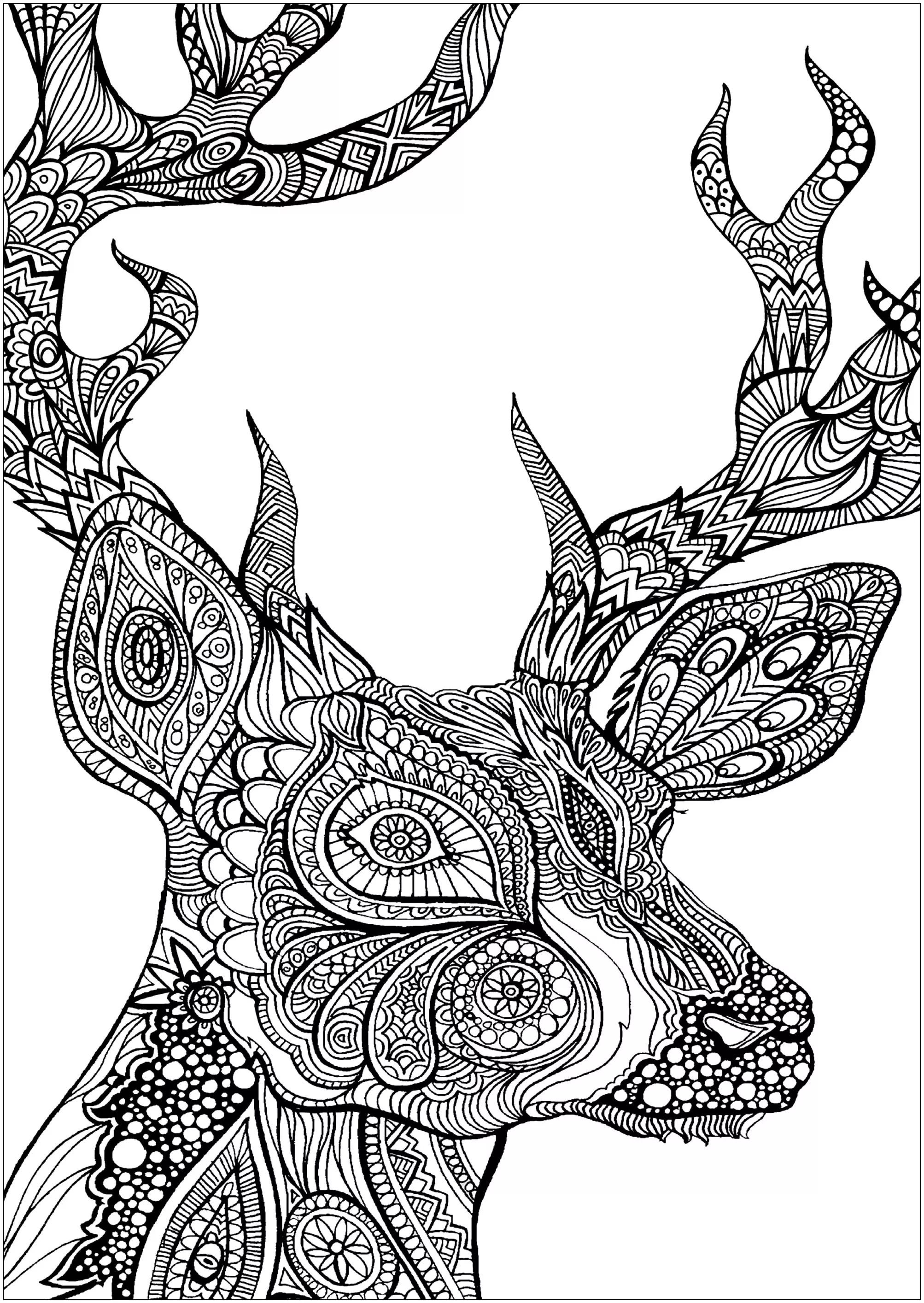 Deed head (Printable Deer Coloring Page for adults)