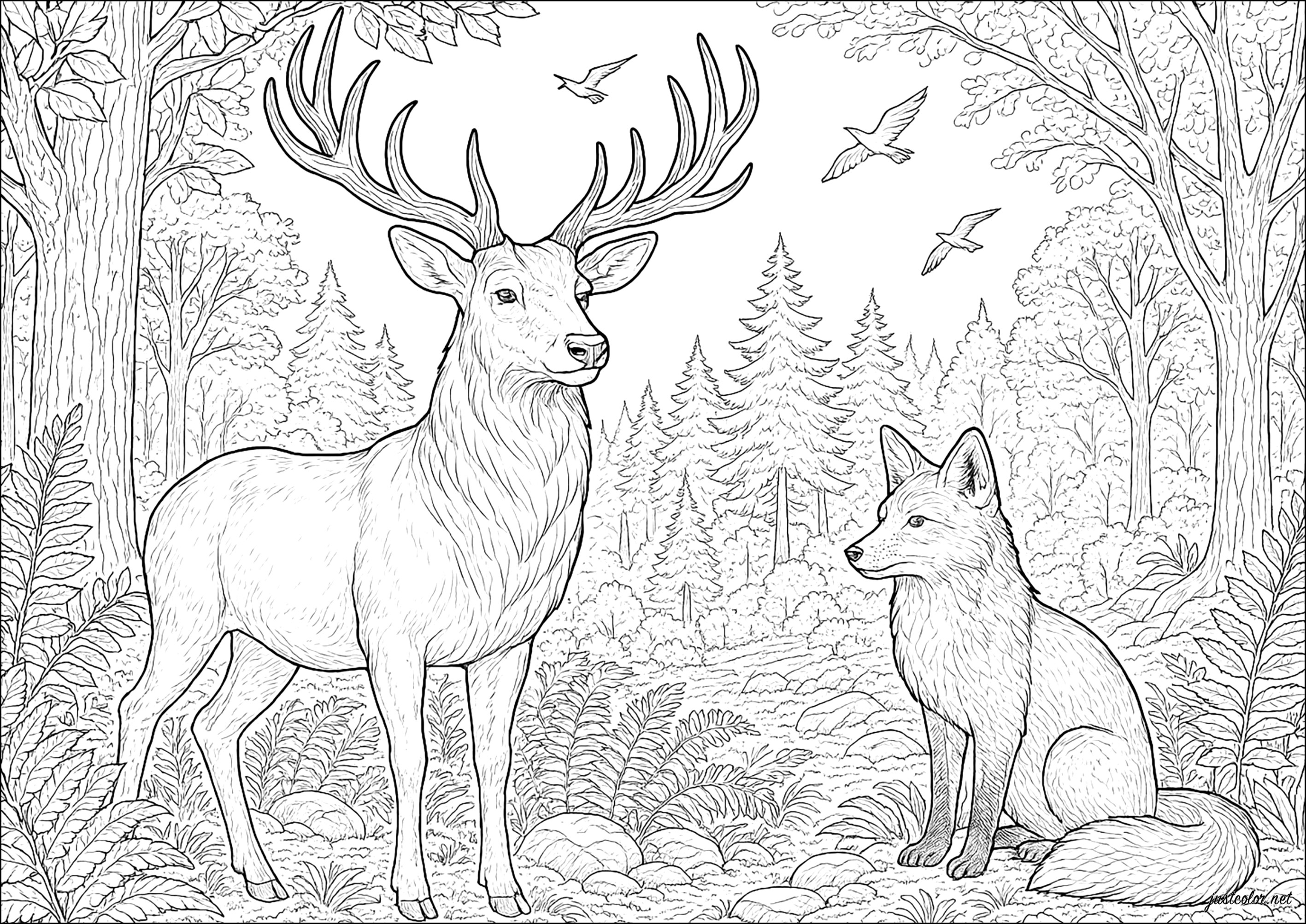The Stag and the Fox (Printable Deer Coloring Page for adults)